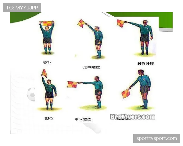 掷界外球的正确规则与裁判判罚标准详解